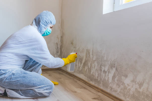 Licensed Mold Remediation service in Salisbury, NC - WQB Mold Removal