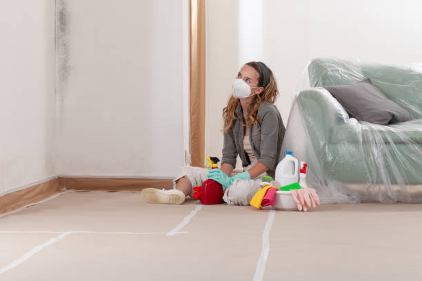 Reliable Mold Remediation contractor in Salisbury, NC by WQB Mold Removal